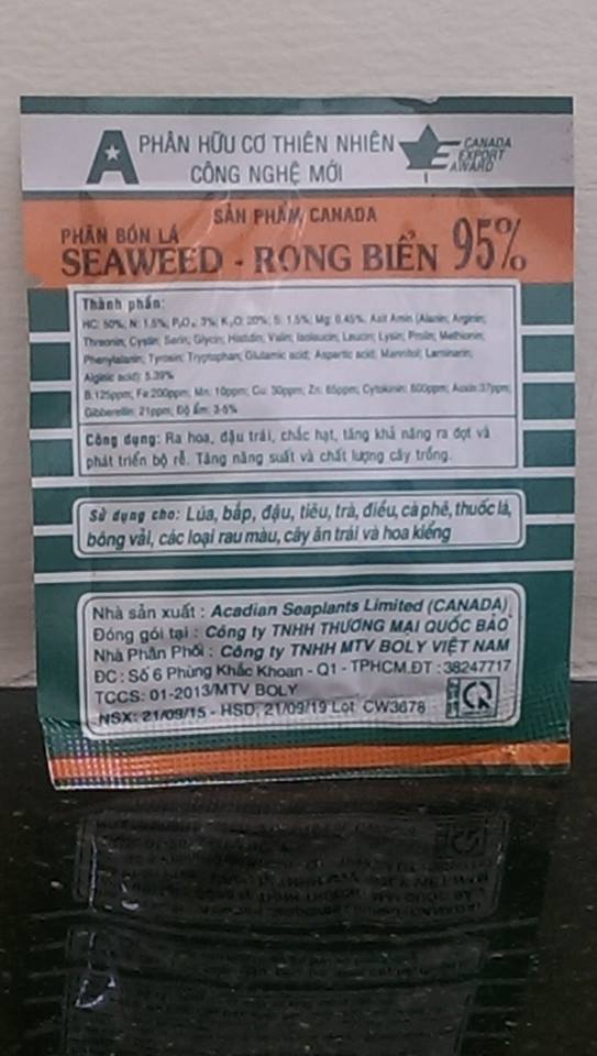Rong biển Seaweed - Cửa hàng Hoa Hồng Leo Vĩnh Long